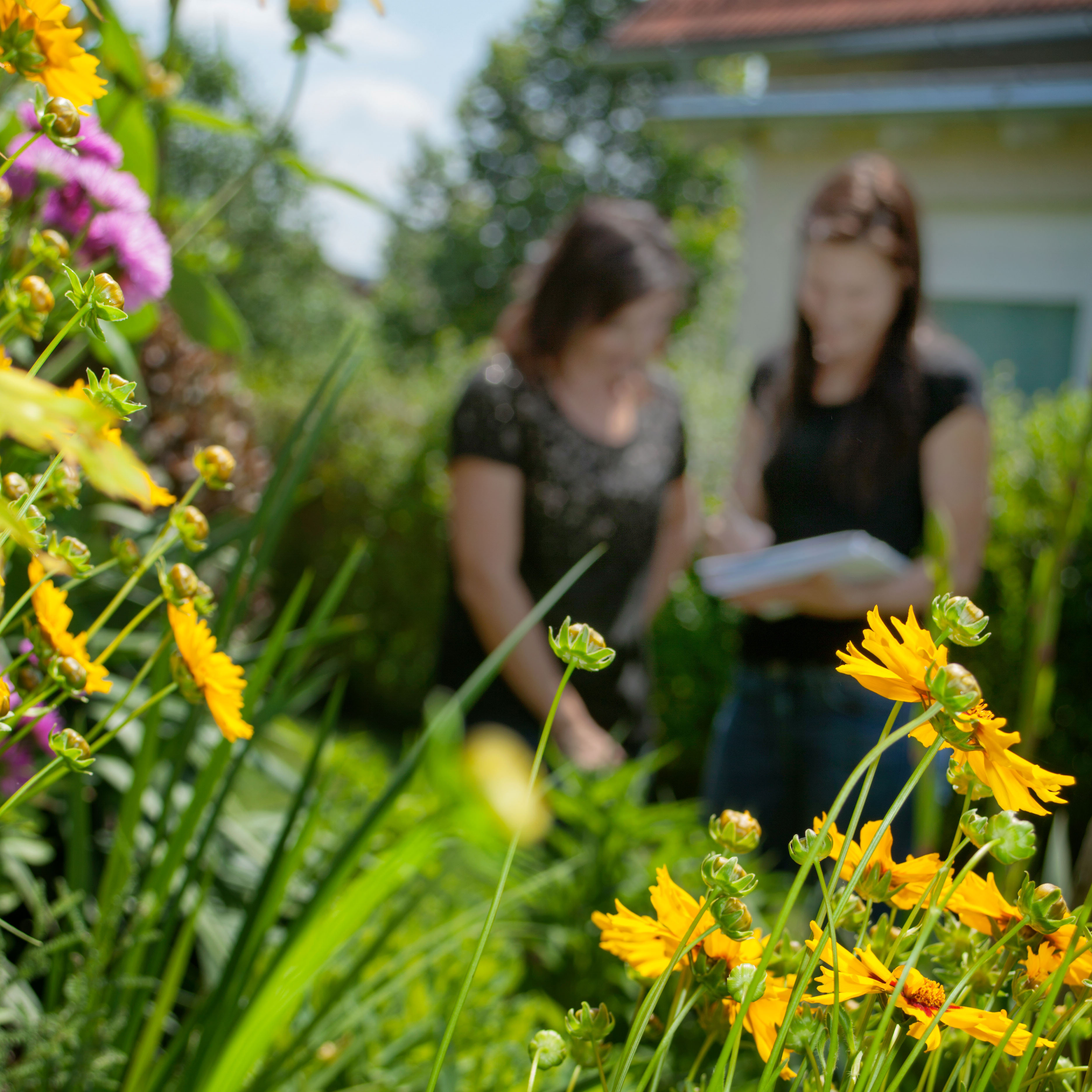 Beratung für Ihren perfekten Garten pure garden Christiana Singer